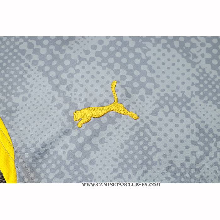 Chandal del Borussia Dortmund 25-26 Sin Mangas Gris